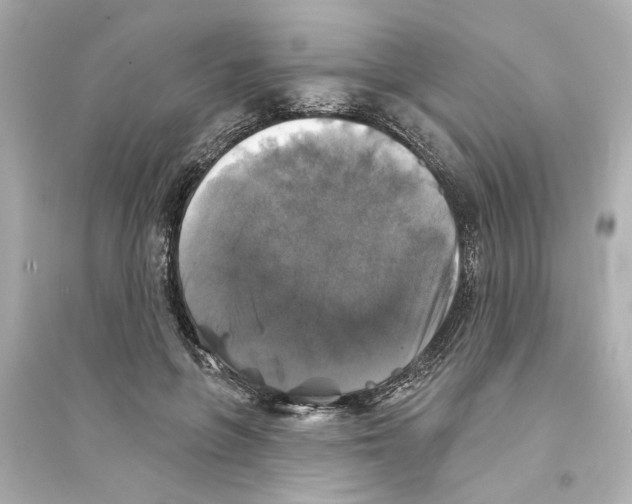 X0000093580551200711121103