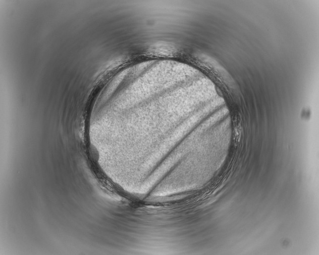 X0000093580552200711121103