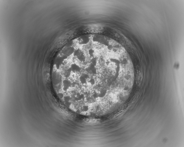 X0000093580553200711121103