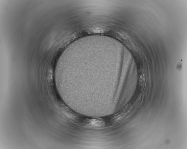 X0000093580555200711121103