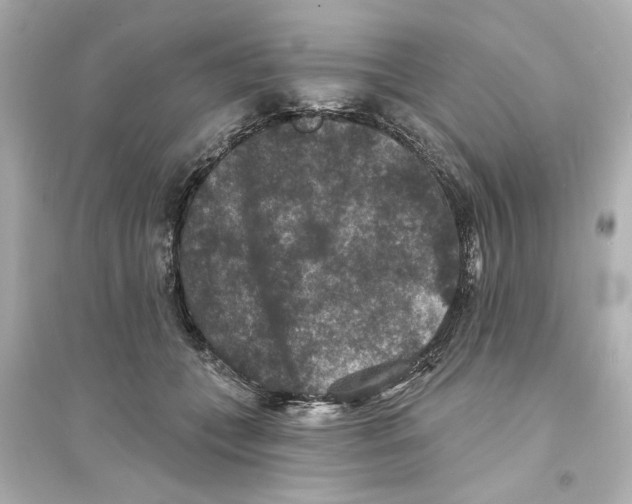 X0000093580559200711121103