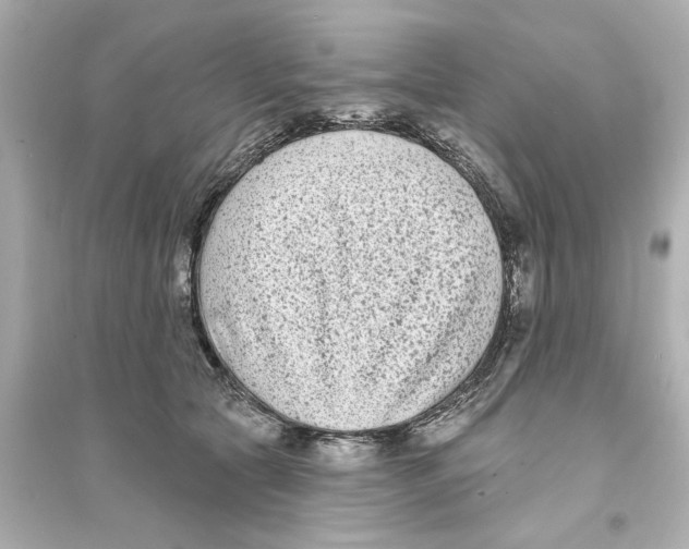 X0000093580561200711121103