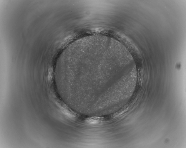 X0000093580563200711121103