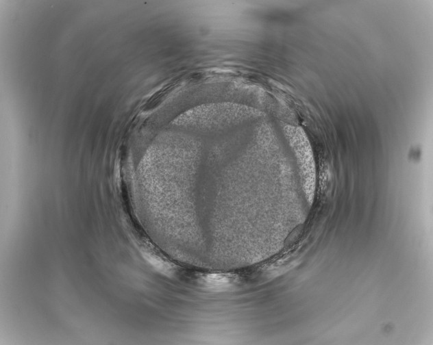 X0000093580566200711121103