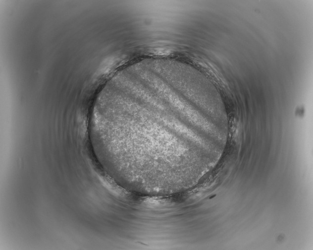 X0000093580568200711121103