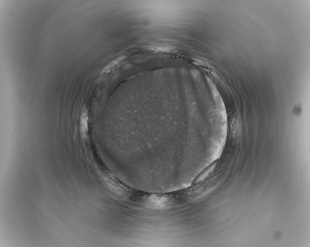 X0000093580570200711121103