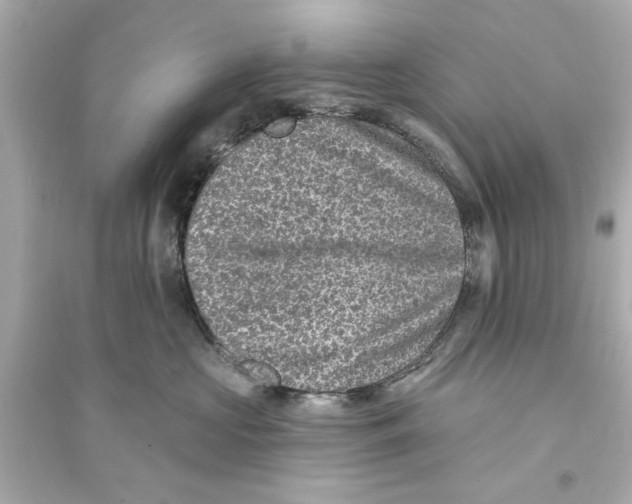 X0000093580573200711121103