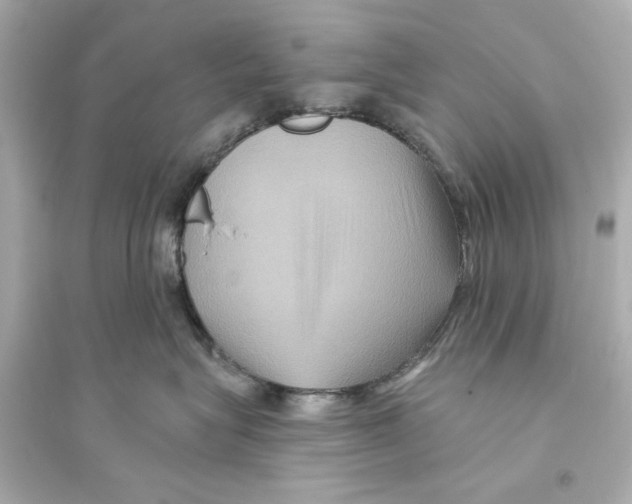 X0000093580575200711121103