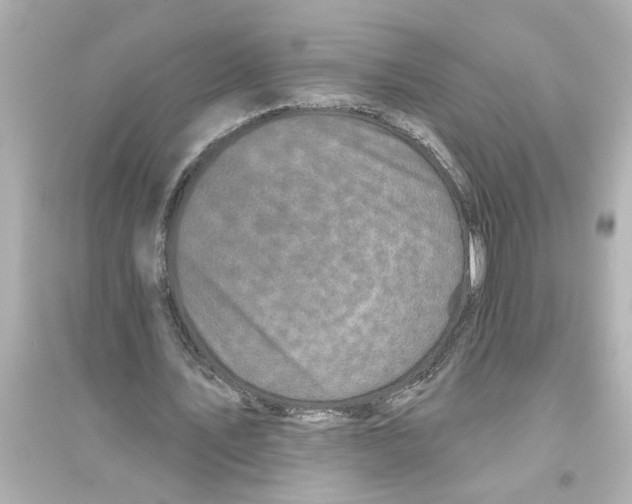 X0000093580579200711121103