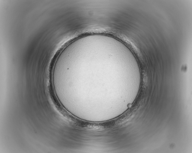 X0000093580582200711121103