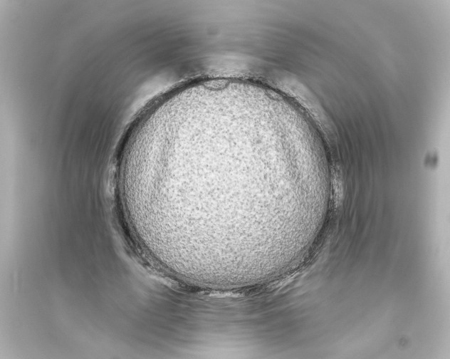 X0000093580583200711121103