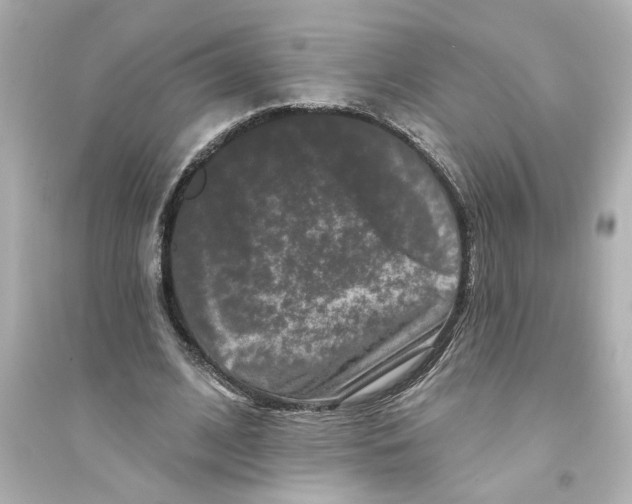 X0000093580584200711121103