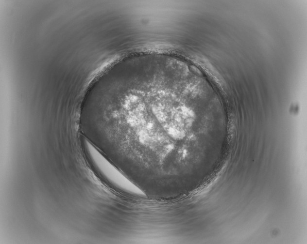 X0000093580585200711121103