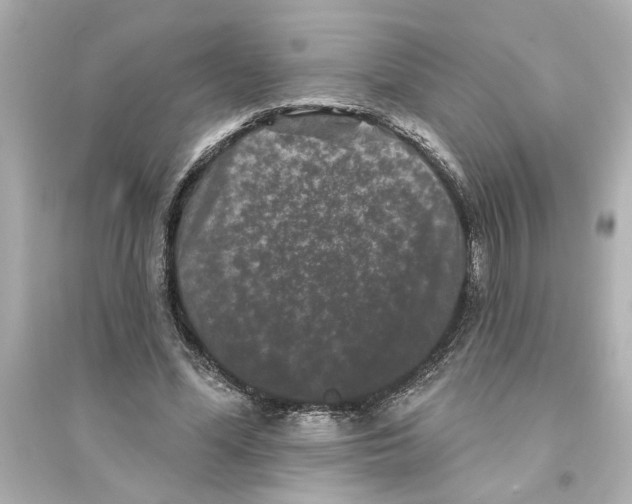 X0000093580588200711121103