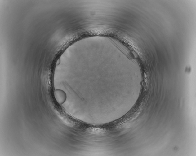 X0000093580590200711121102