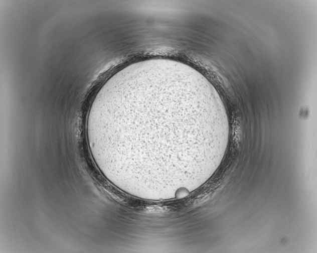 X0000093580591200711121102