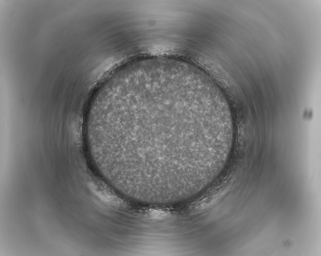 X0000093580592200711121102