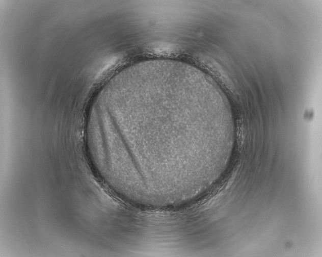 X0000093580593200711121102