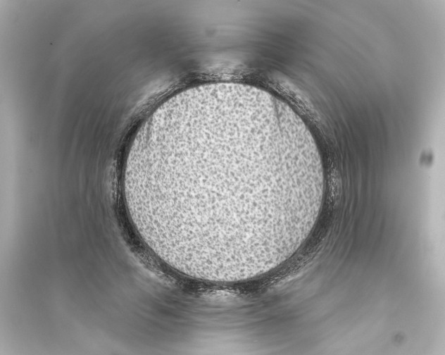 X0000093580594200711121102