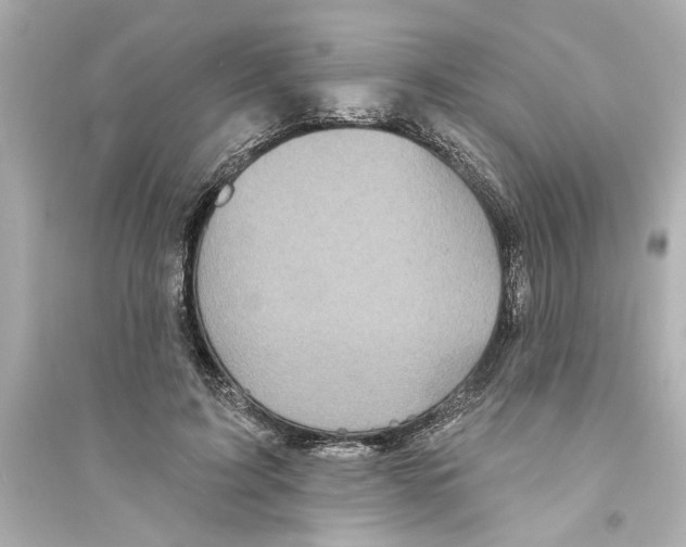 X0000093580595200711121102