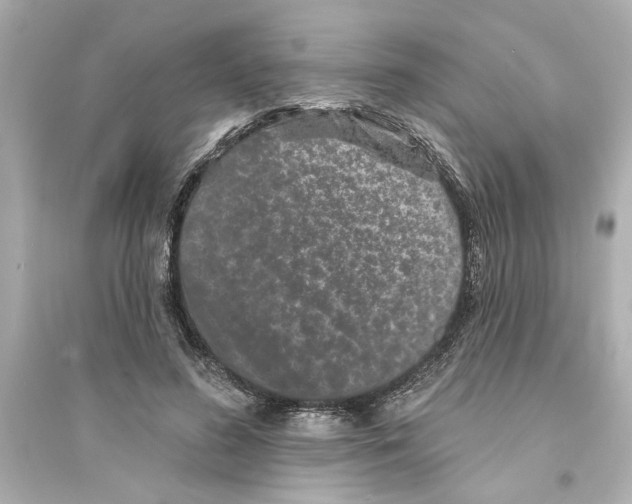 X0000093580596200711121102