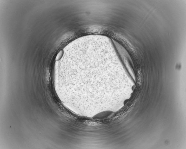 X0000093580597200711121102