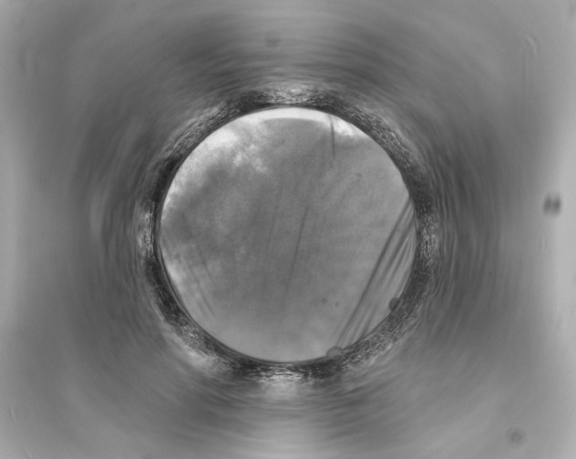 X0000093580598200711121102