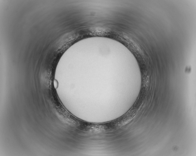 X0000093580599200711121102