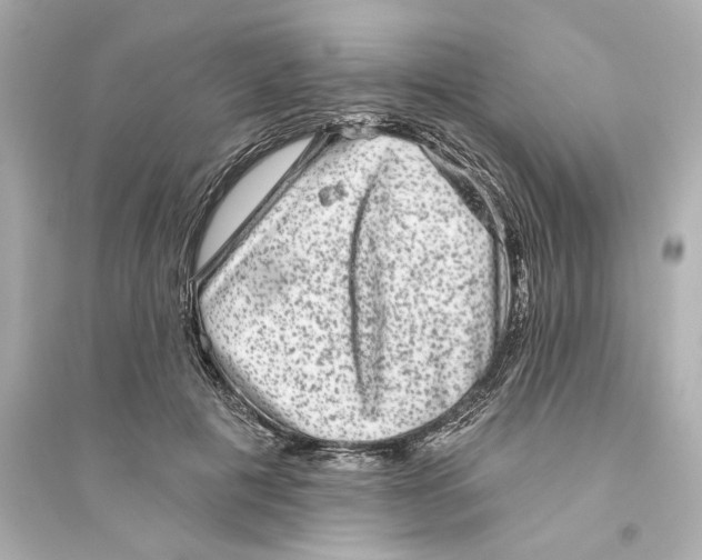 X0000093580601200711121102