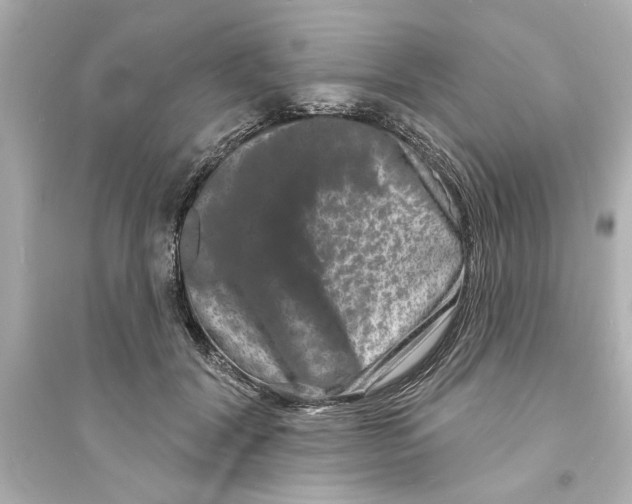 X0000093580604200711121102