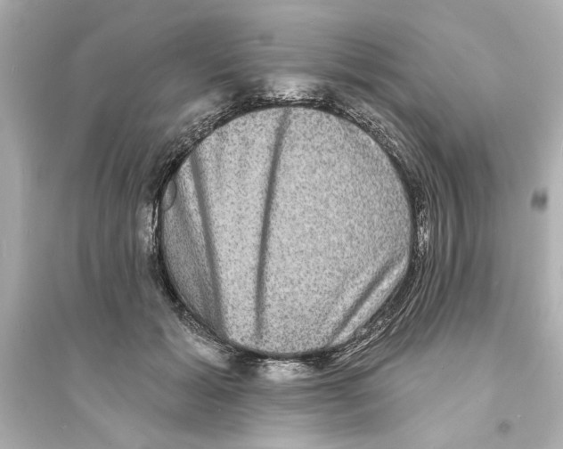 X0000093580605200711121102