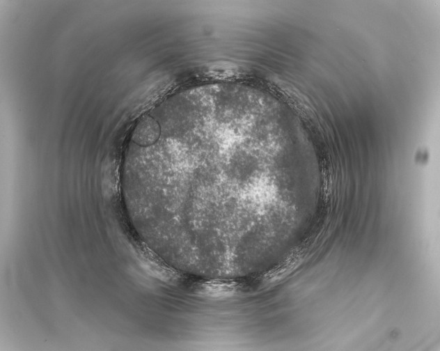 X0000093580606200711121102