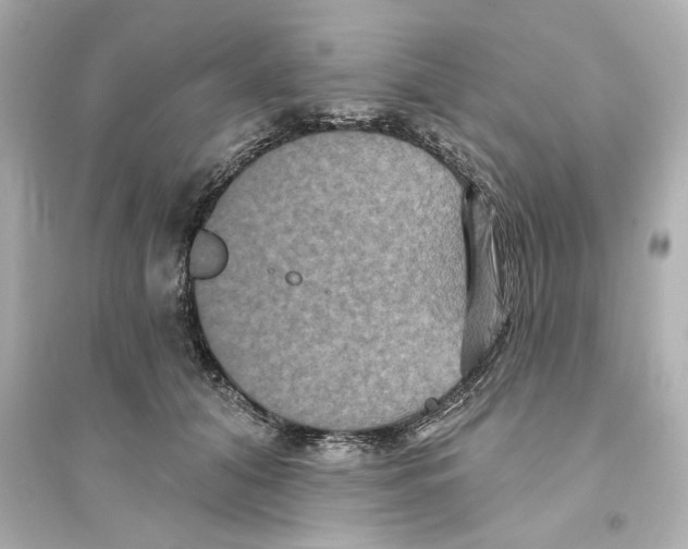 X0000093580608200711121102