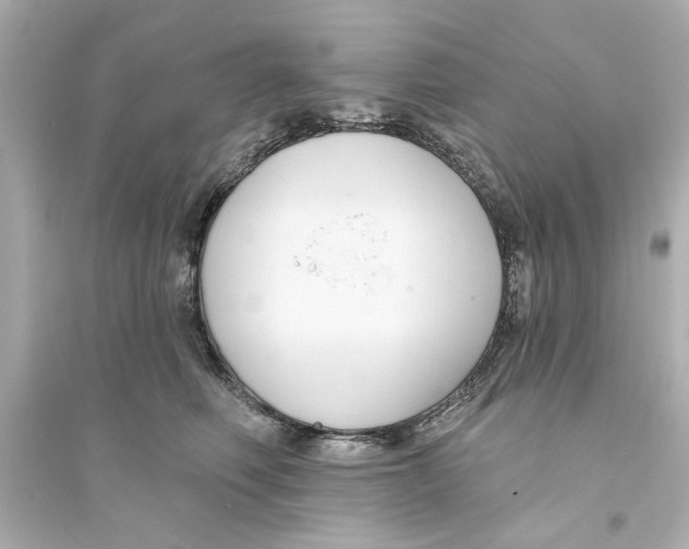 X0000093580614200711121102