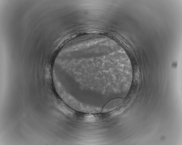 X0000093580616200711121102