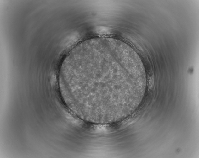 X0000093580618200711121102