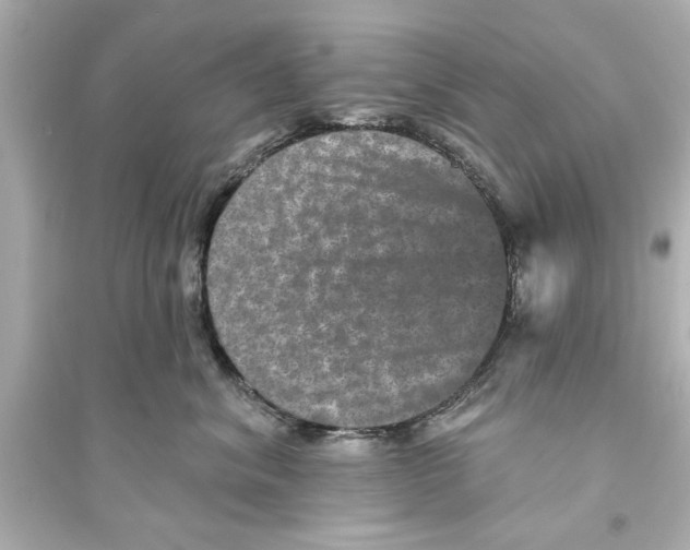 X0000093580620200711121102