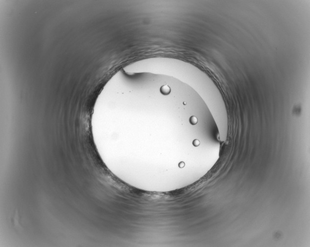 X0000093580621200711121102