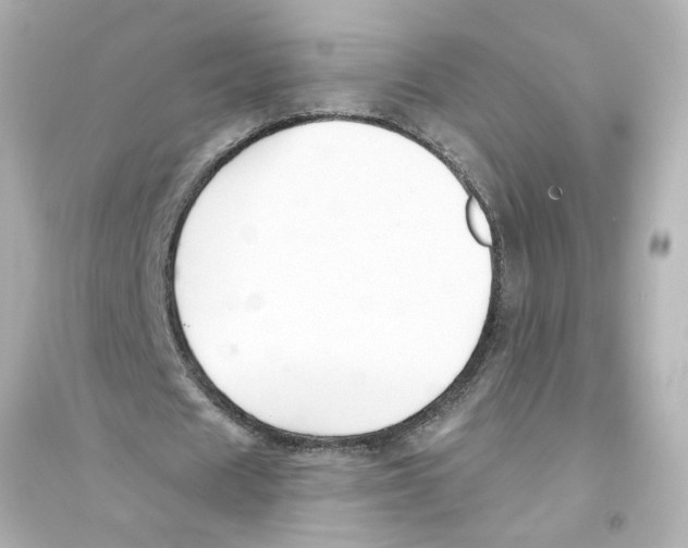 X0000093580625200711121101