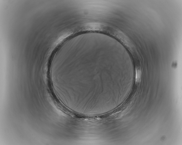 X0000093580627200711121101