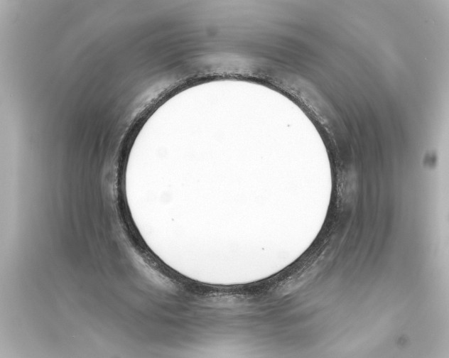 X0000093580629200711121101