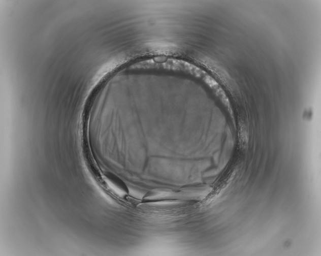 X0000093580630200711121101