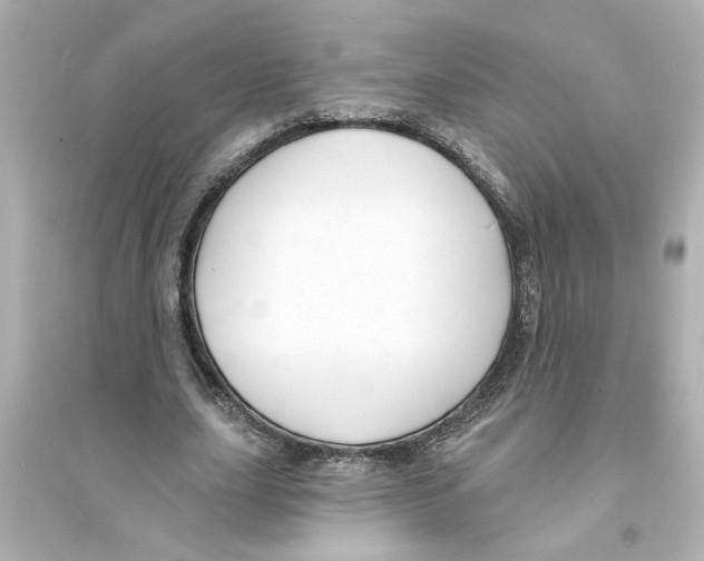 X0000093580631200711121101