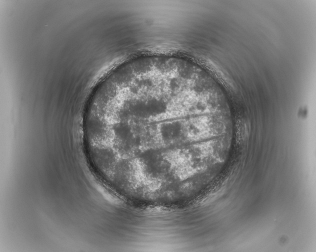 X0000093580634200711121101