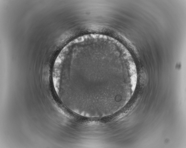 X0000093580637200711121102