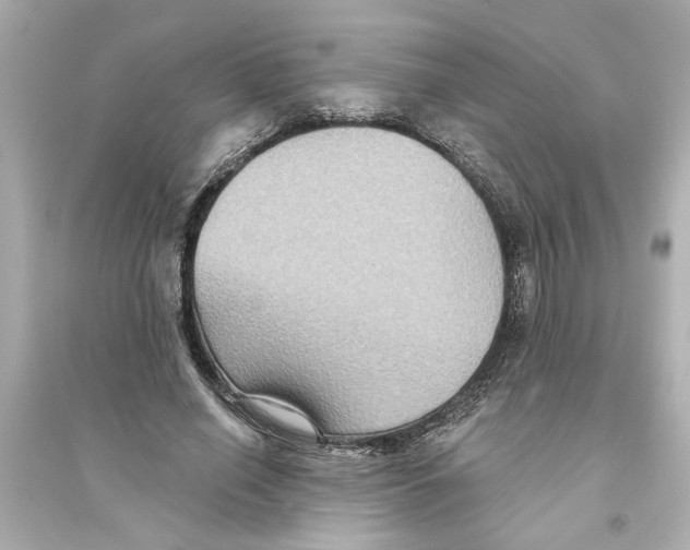 X0000093580638200711121102