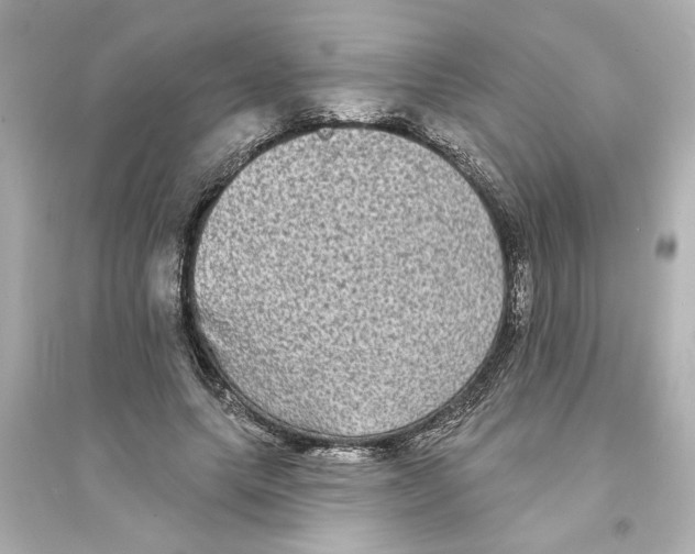 X0000093580639200711121102