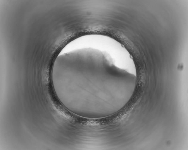 X0000093580640200711121102