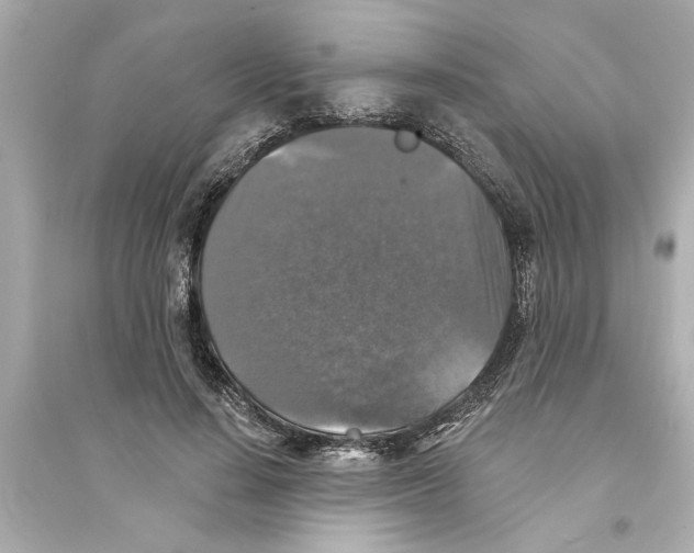 X0000093580644200711121102