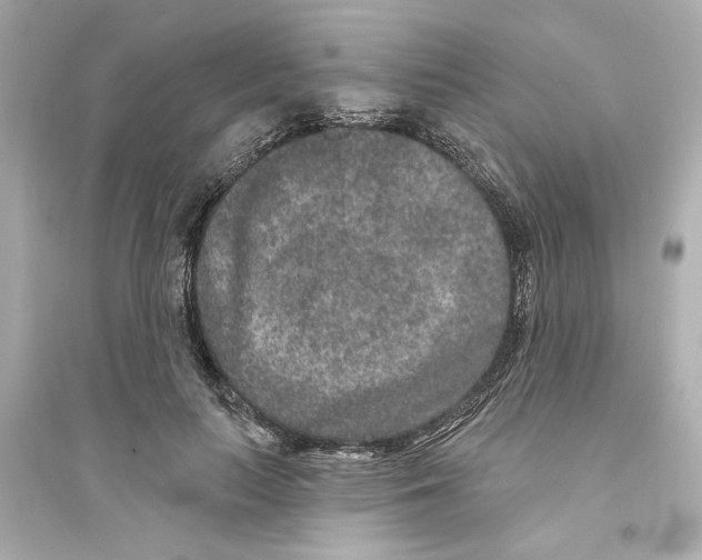 X0000093580647200711121102